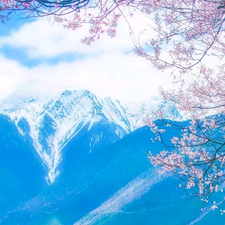 风吹麦浪，缘聚