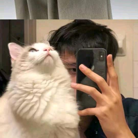 @李晨阳（绝地求生）