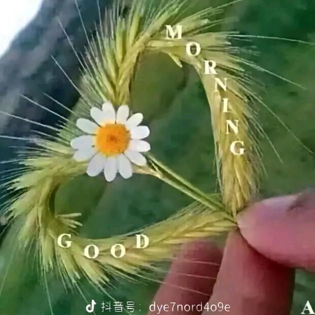 次旦顿珠
