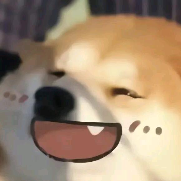 猫猫虫