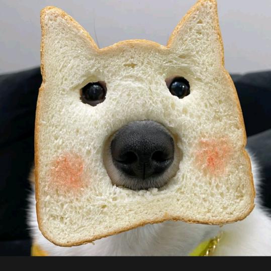 M Q