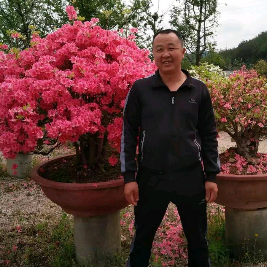 中开嘉华吴王根