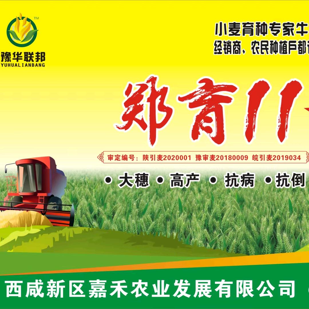 嘉禾联创种业鄂中