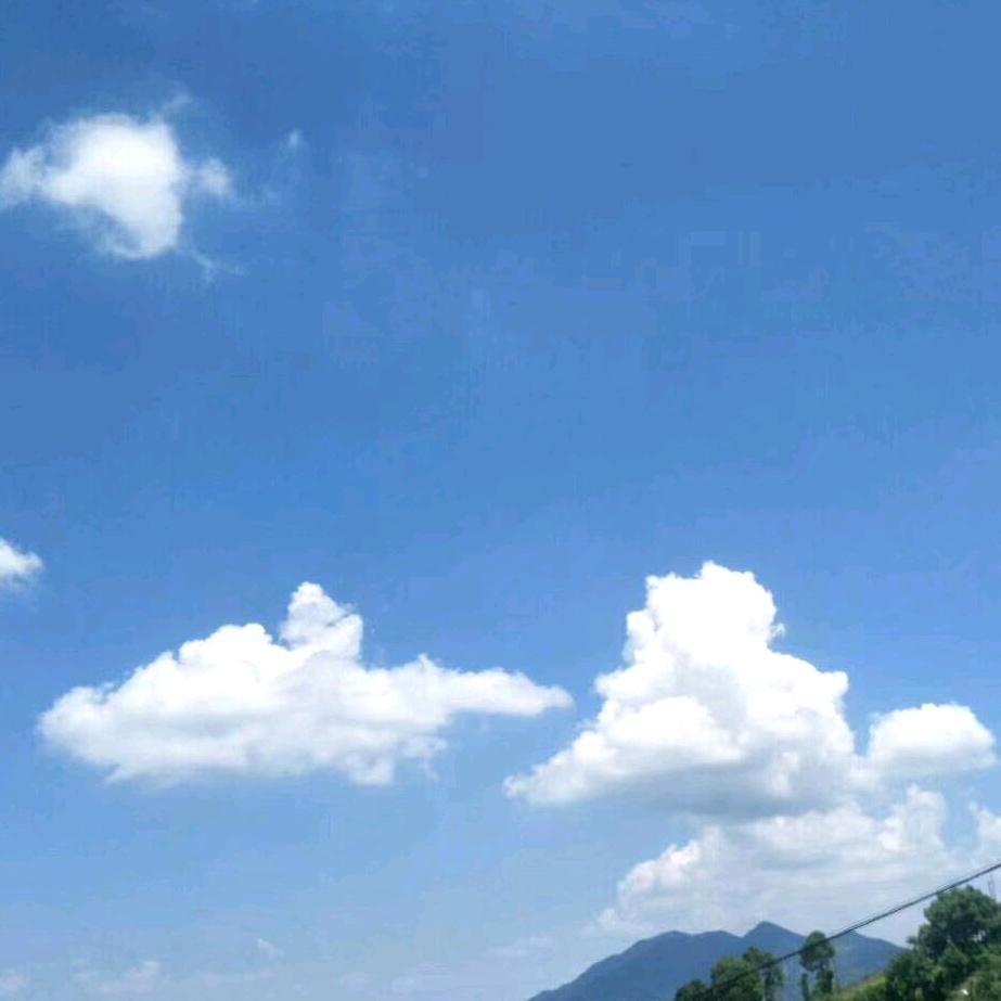 缘有你我有缘