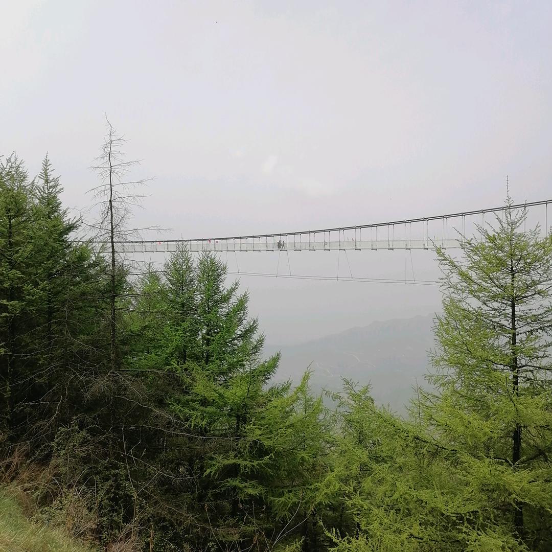 余生有我