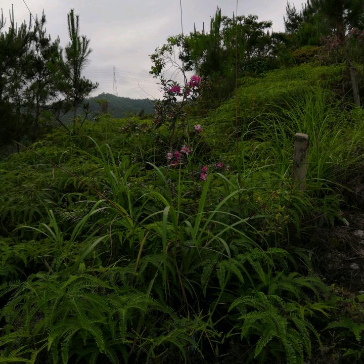 云泥