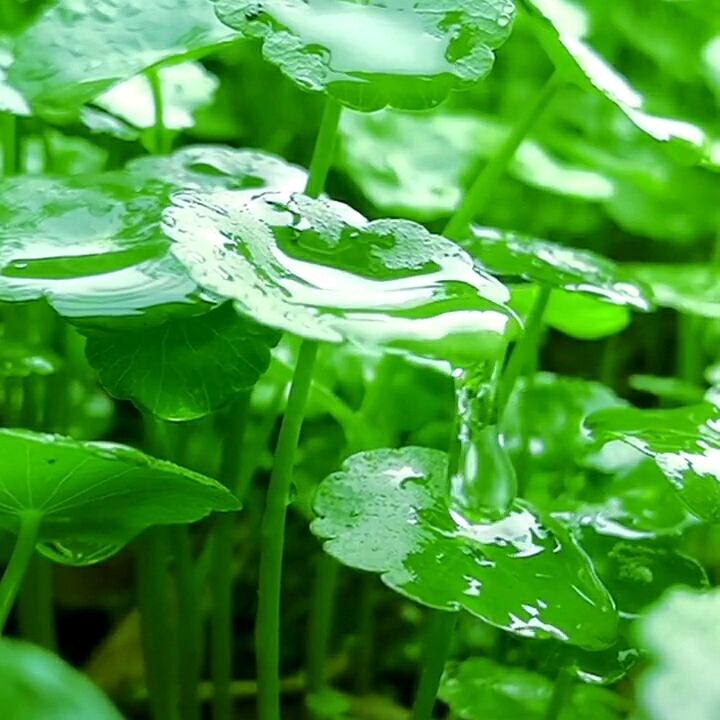 【无情】可破局