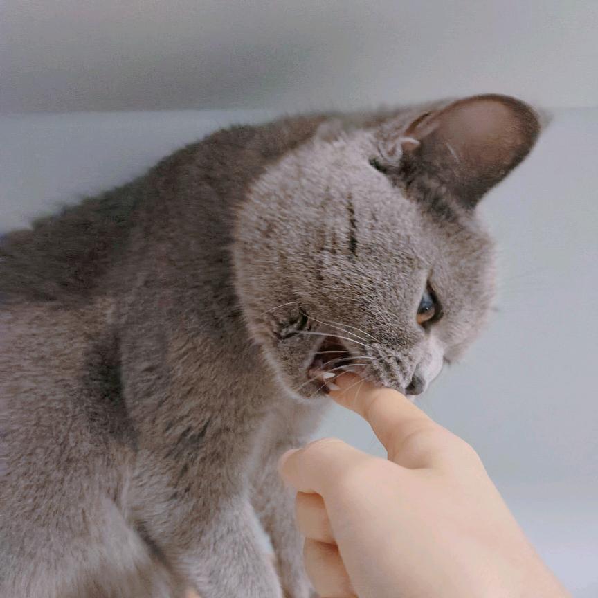 小刘每天都好困=_=