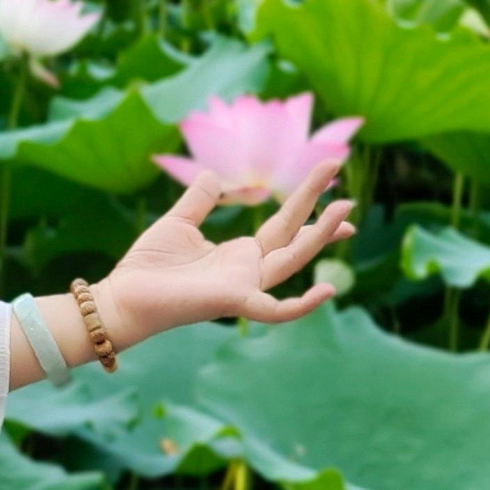 丝丝（请不要连赞！）