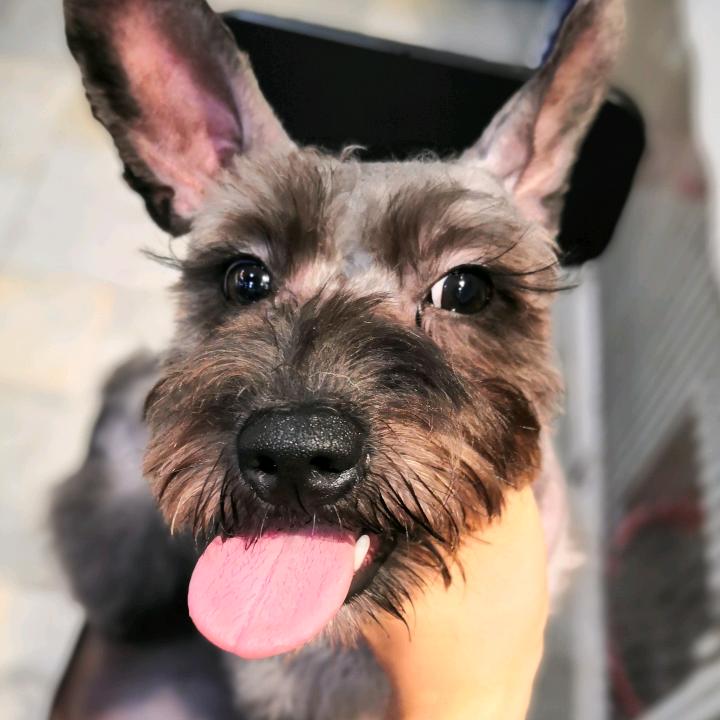 真的真的不一样