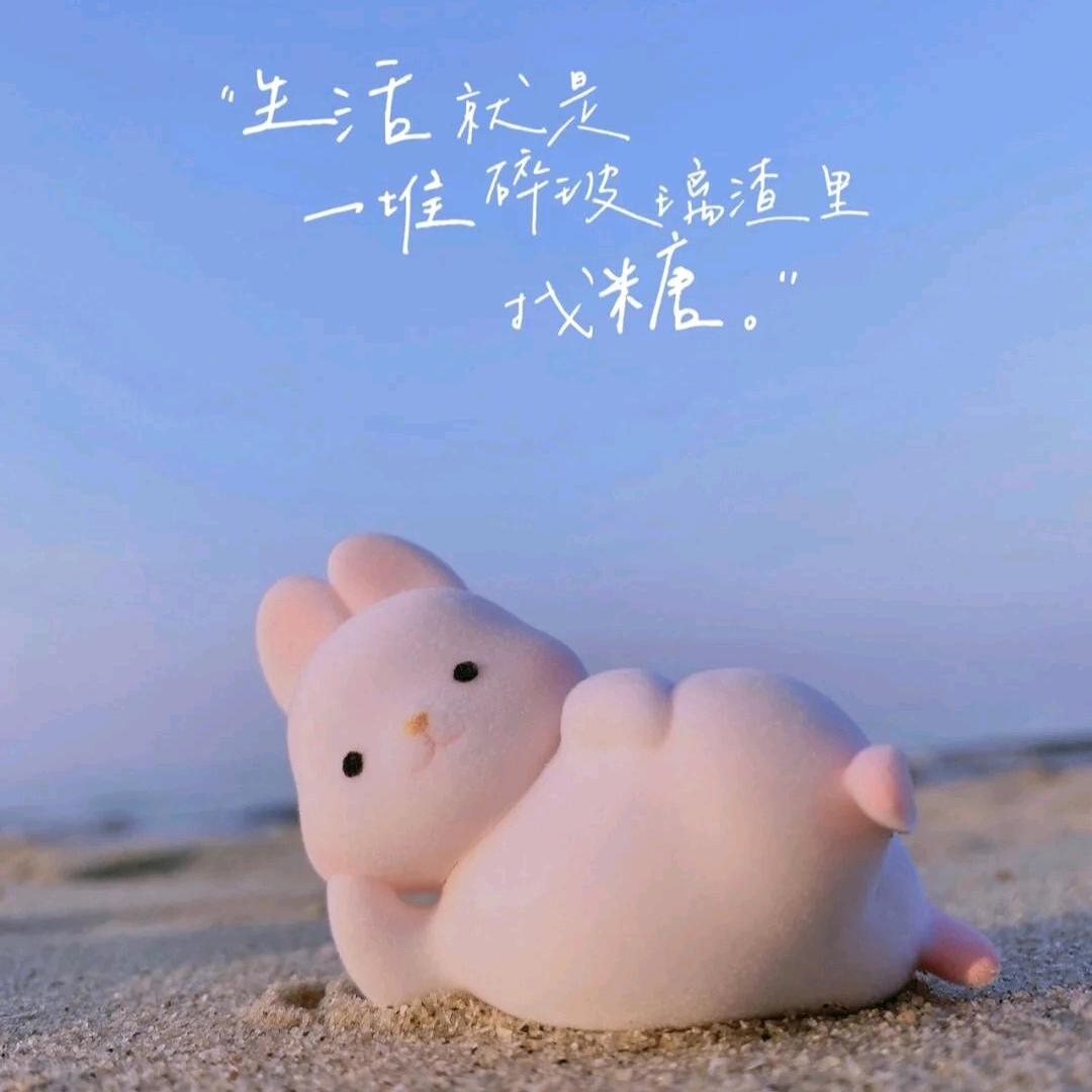 一坨肥肉