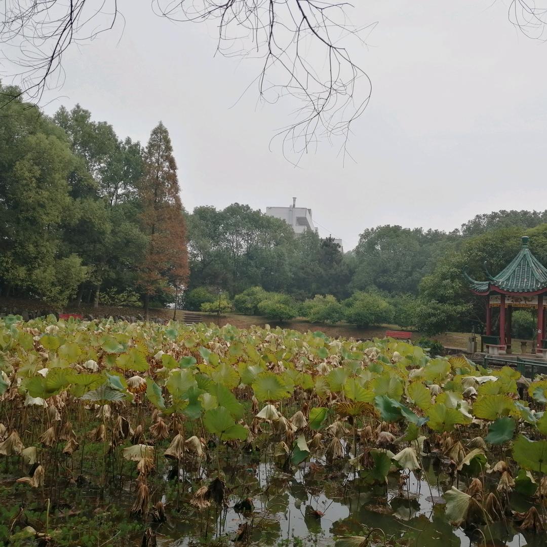 冰河水