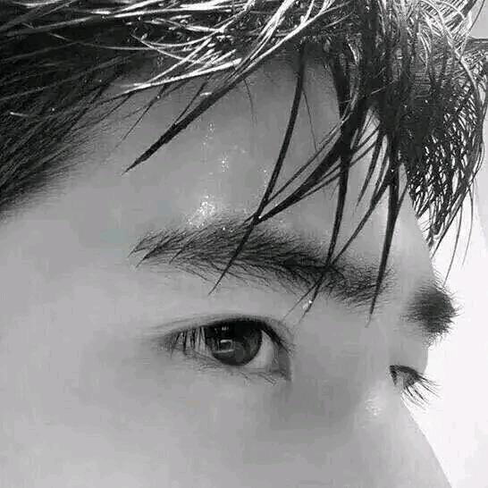 豪