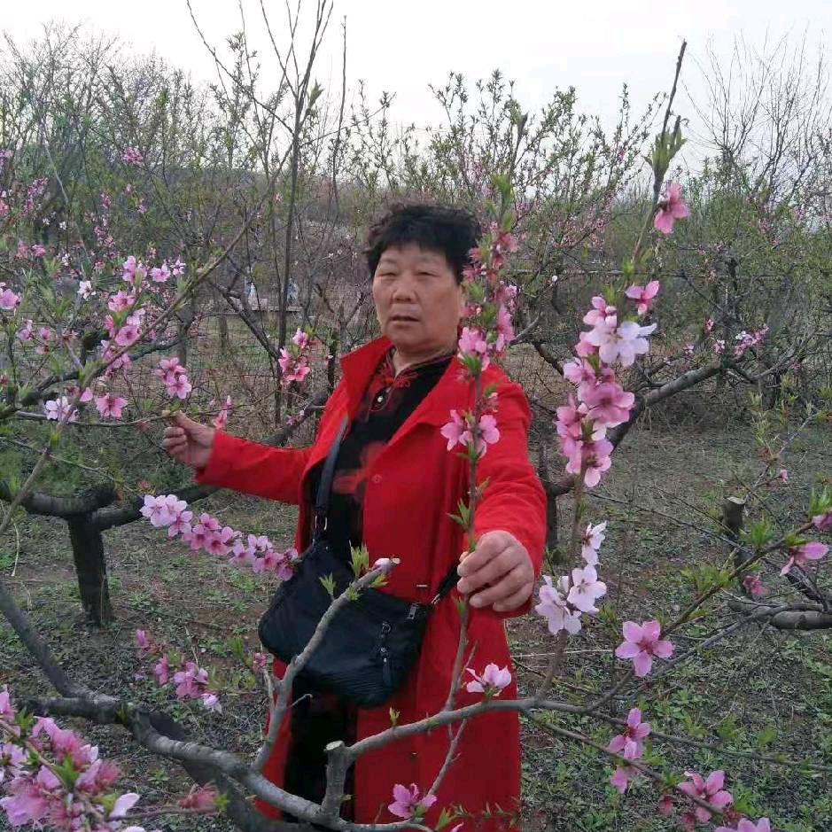 陈英英