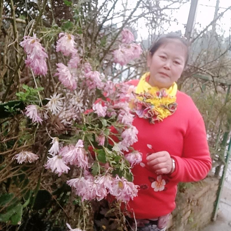 自琼副食