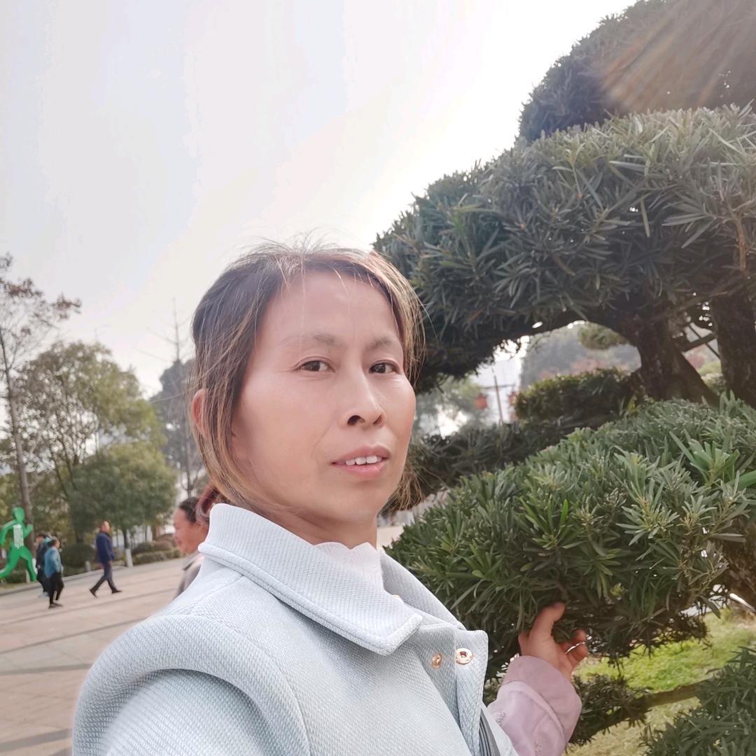 香姐开播不定时