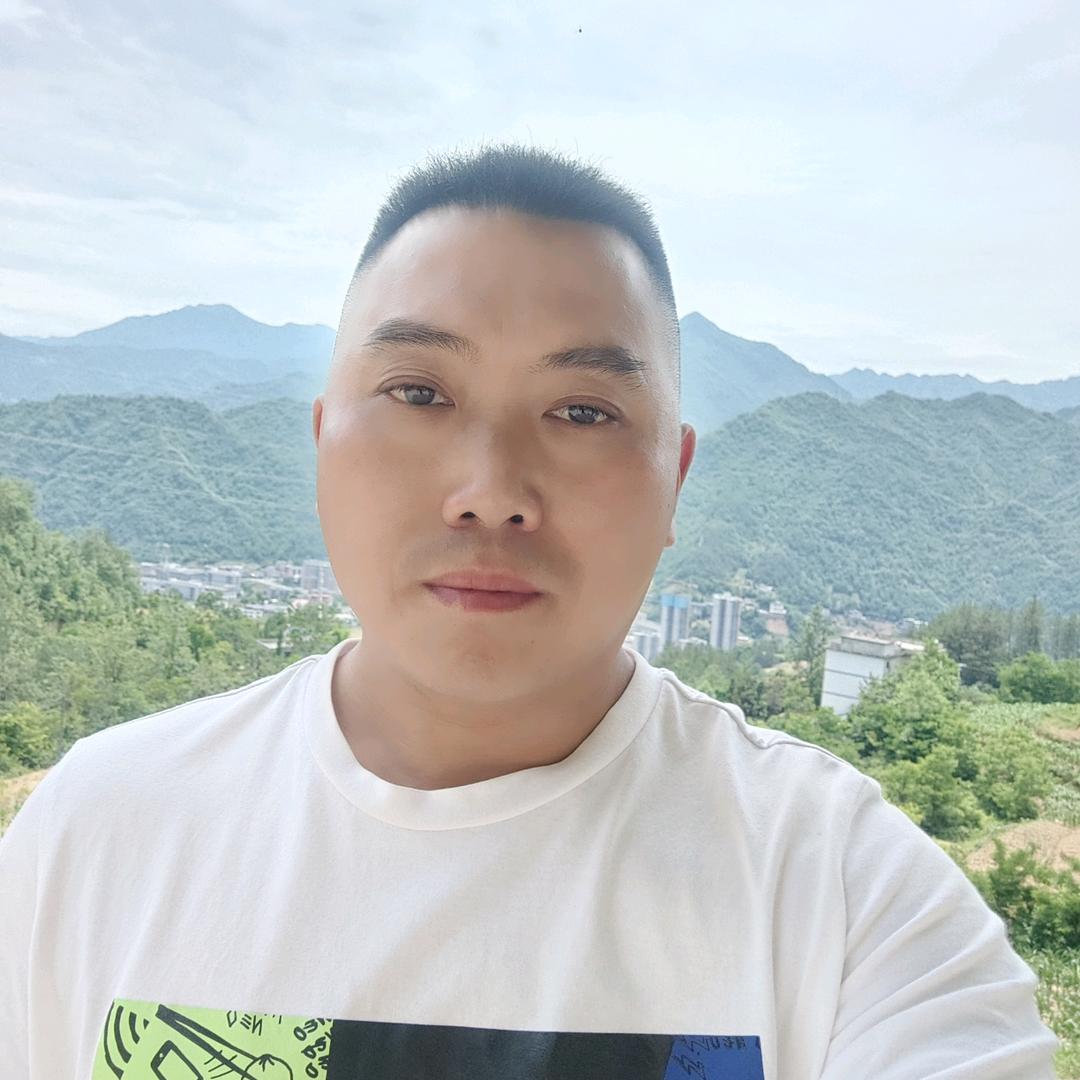 风鹏正举