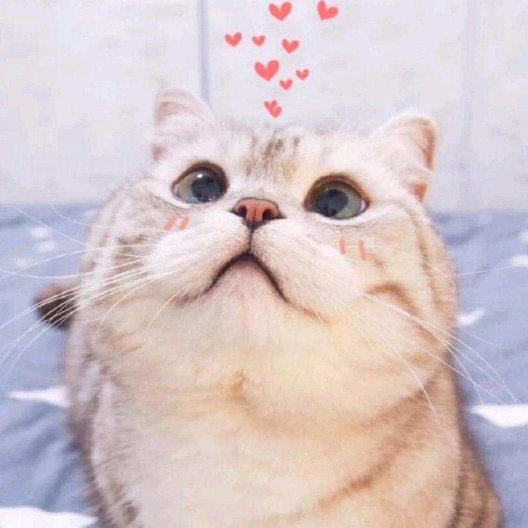 不许人间现白头