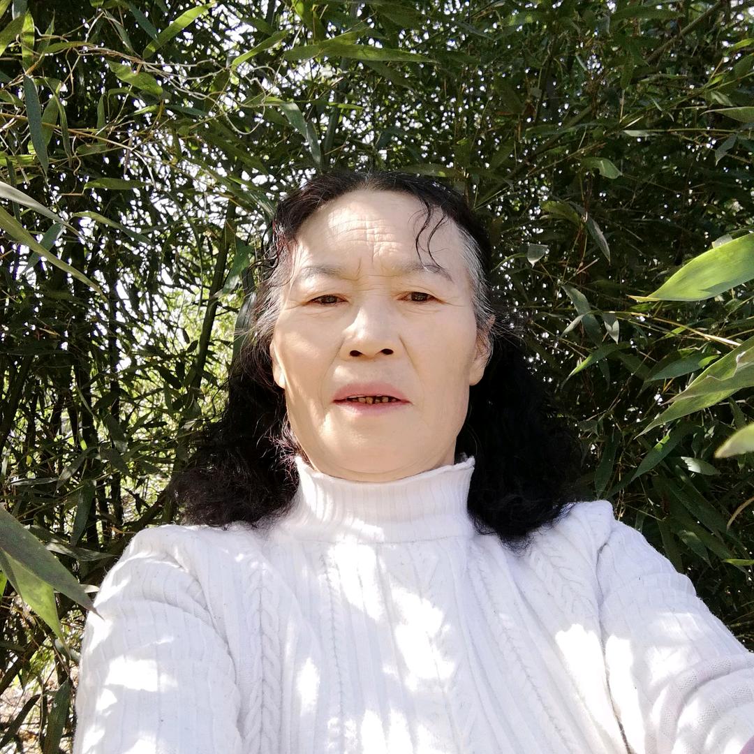 敖