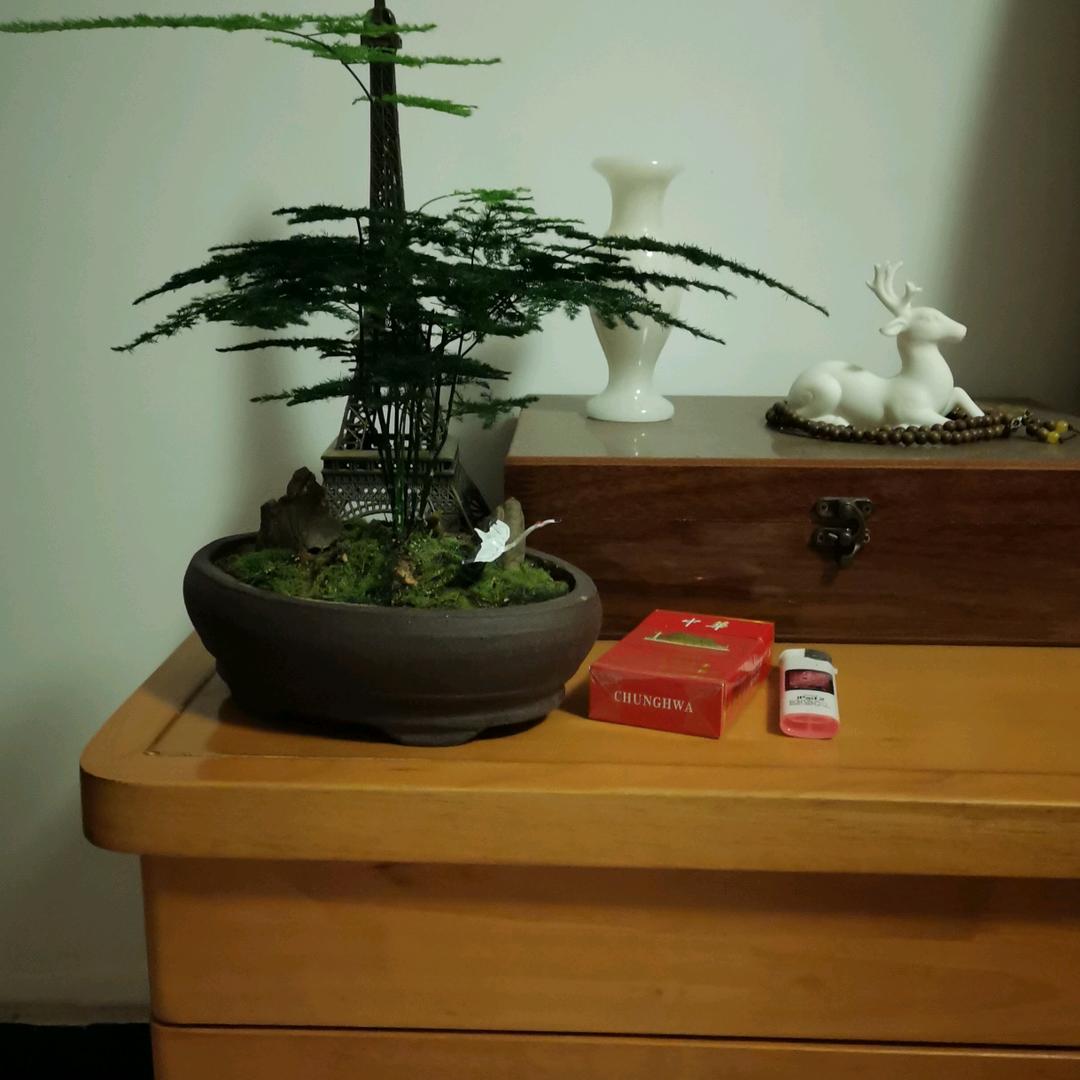 张发平