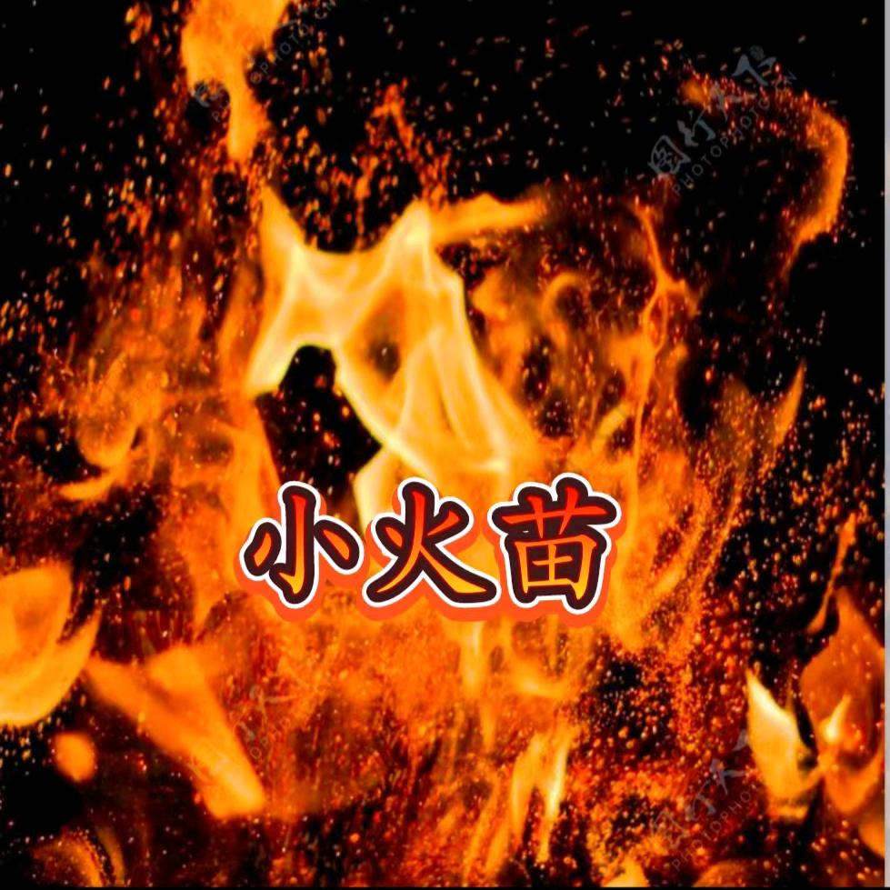 小火苗影视