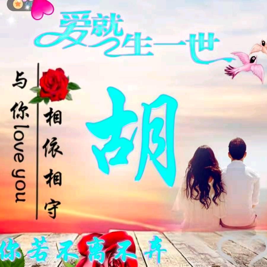 MiS  胡