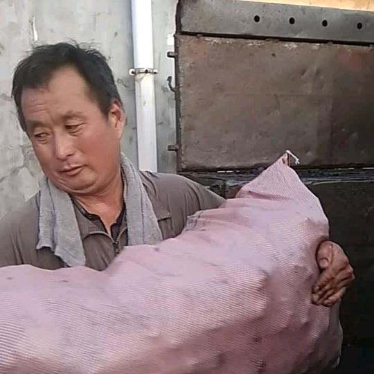 卖碳哥