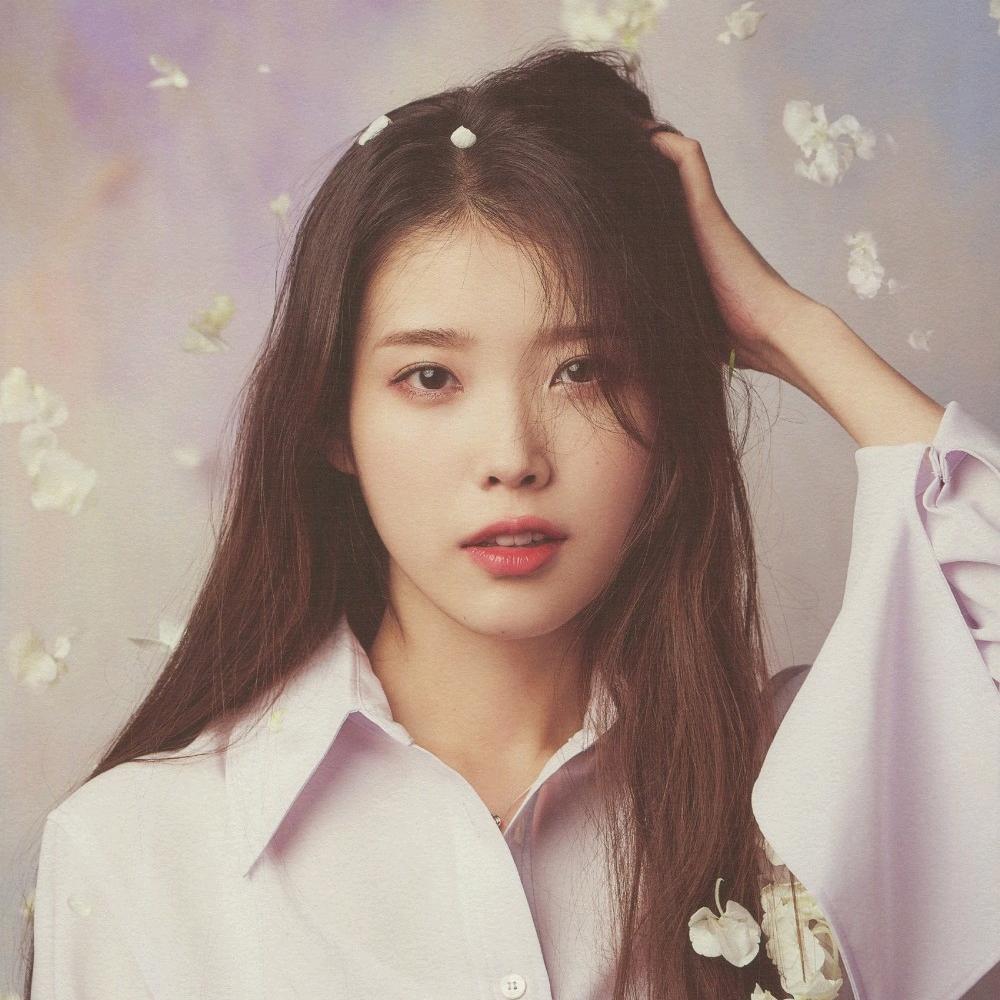 不是社长的Y社长