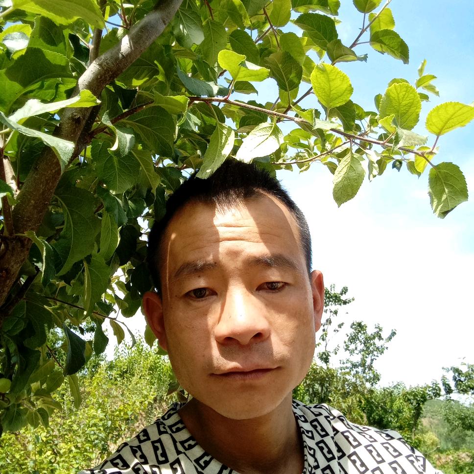江湖人称（局长）