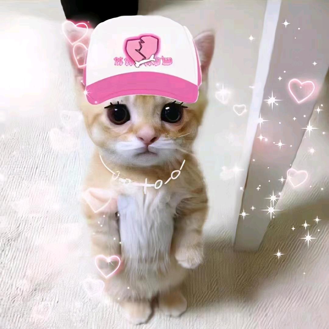 靠谱的鸡蛋队长