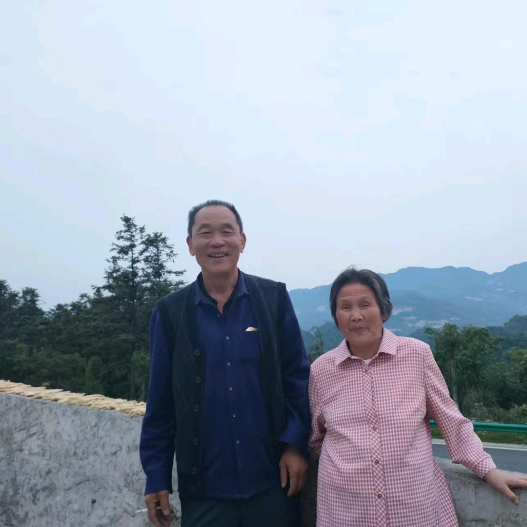 森林之子