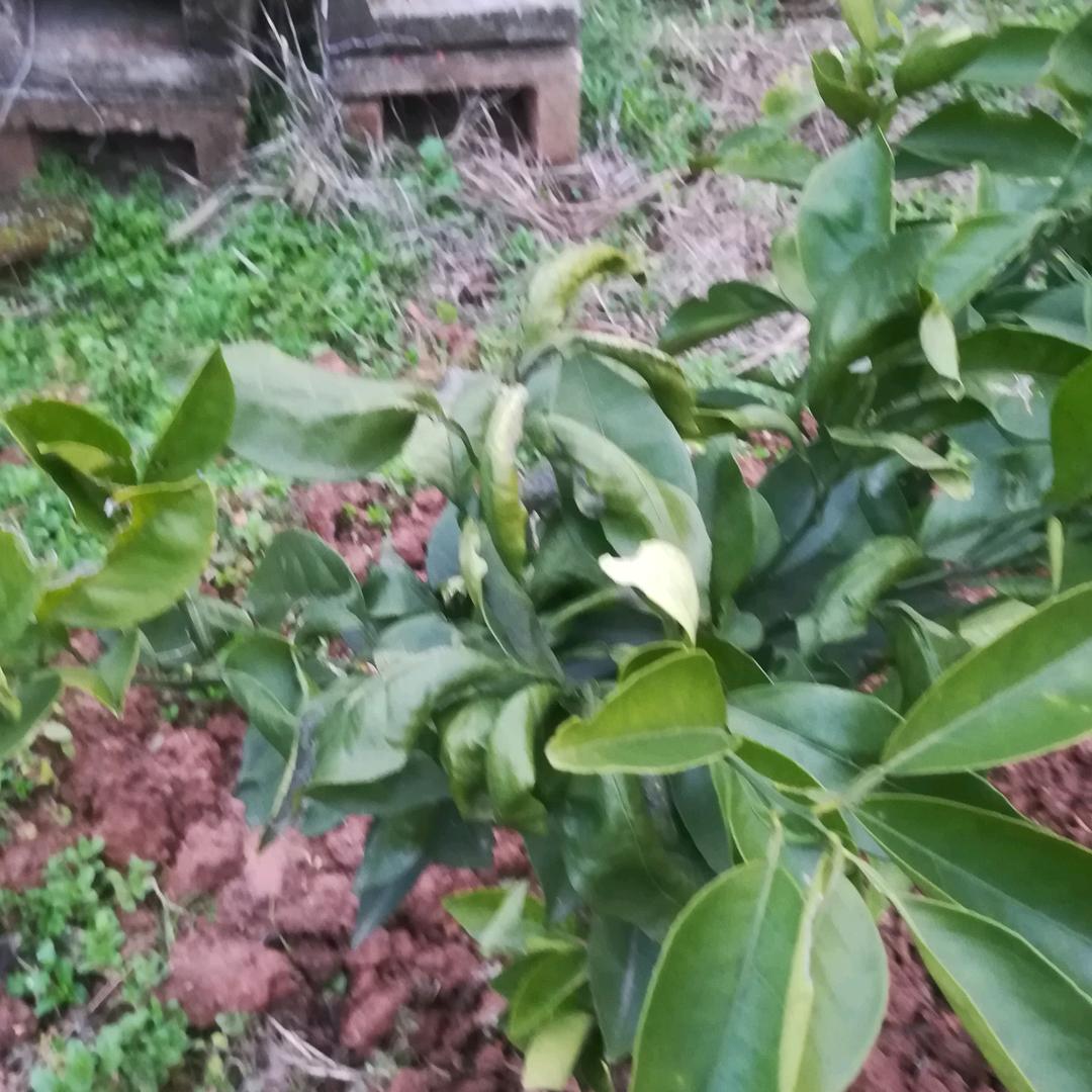 你们真好谢谢你