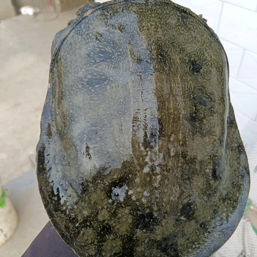 阿浩🦐🦐🦐🦐