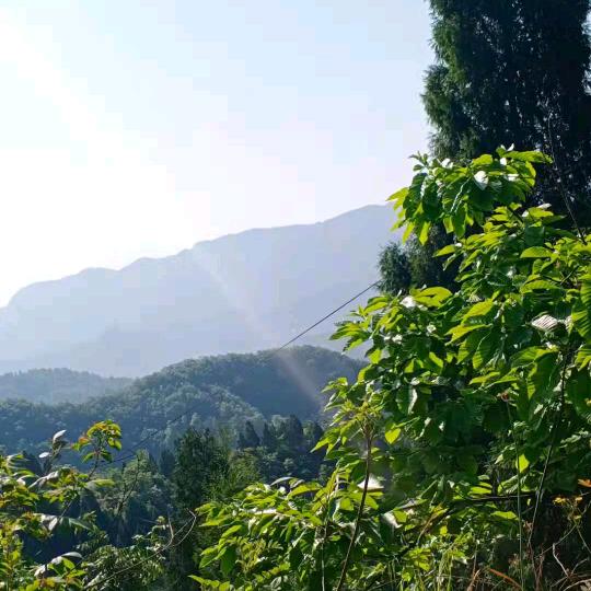 小公主