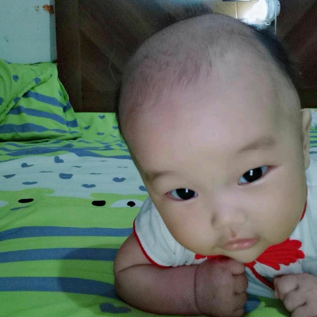 飞哥