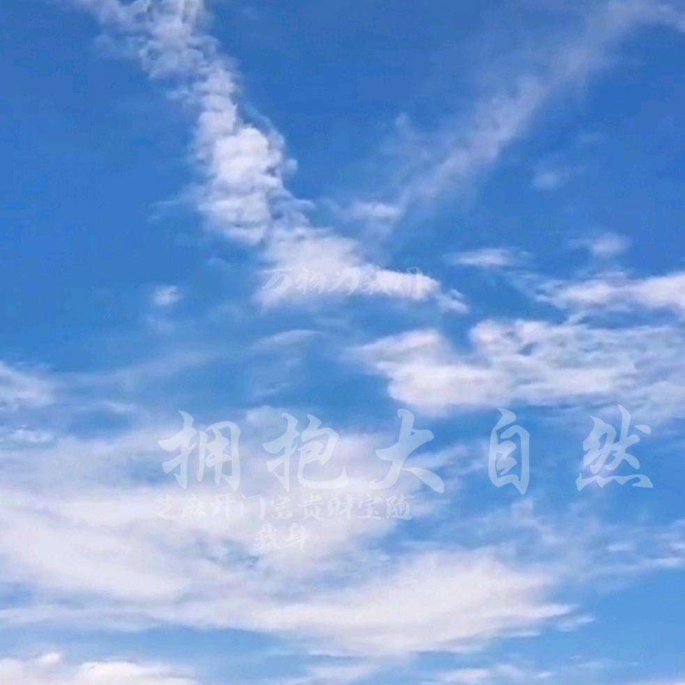文景园