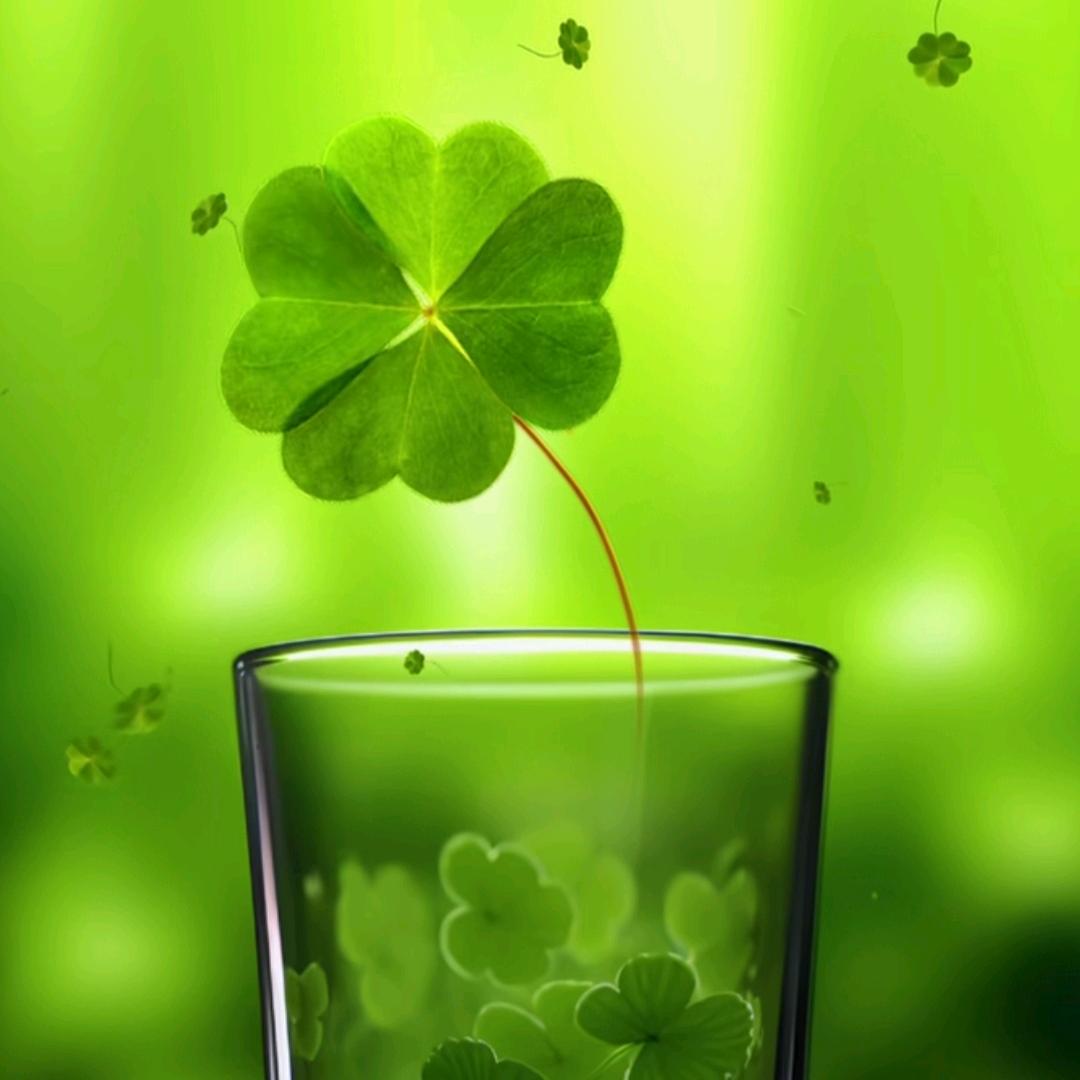 ঞᩚ半颗糖꧔ꦿ᭄💞