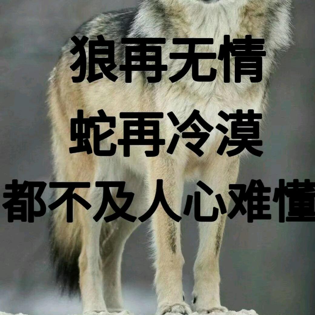 三生石下的兰花