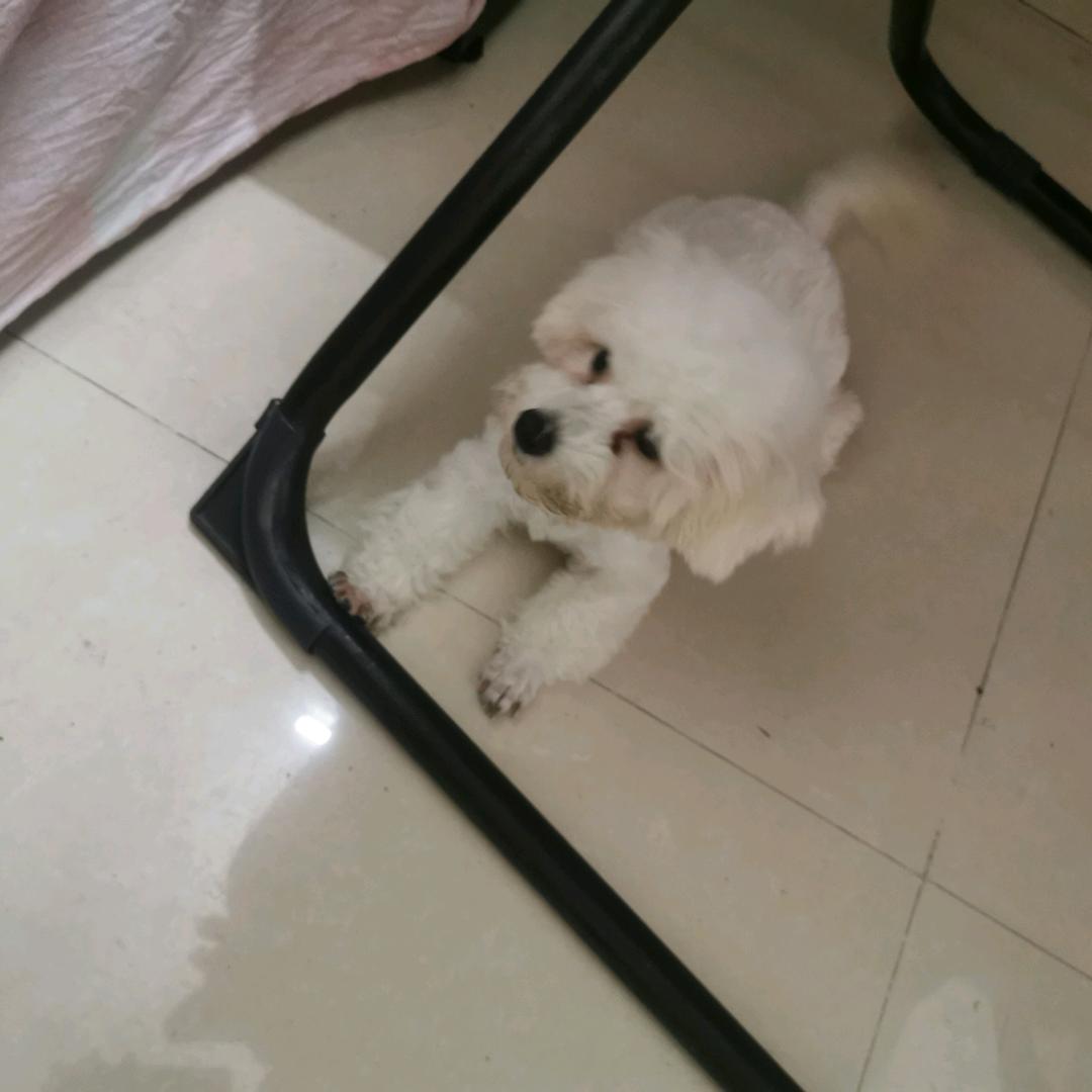 淘淘外贸鞋店男鞋（杭州）淘宝店