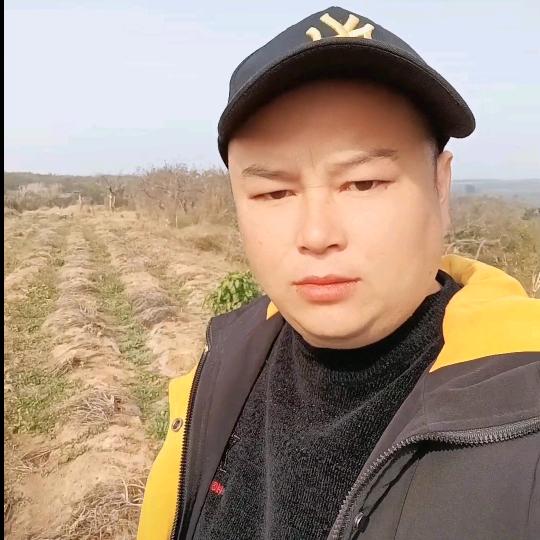 水果王庆锋