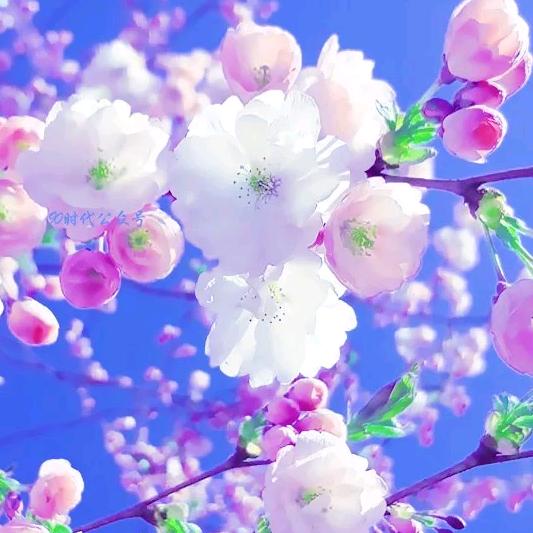 念你的心最甜