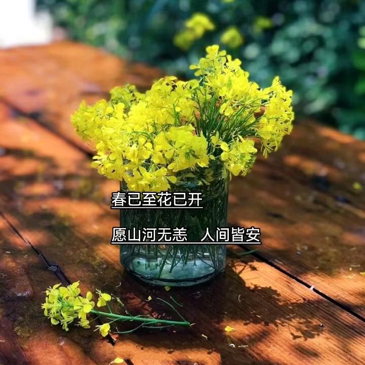 ꧔ꦿ℘一介᭄ᩚ꯭ᩚ俗人꧔ꦿ᭄꧔