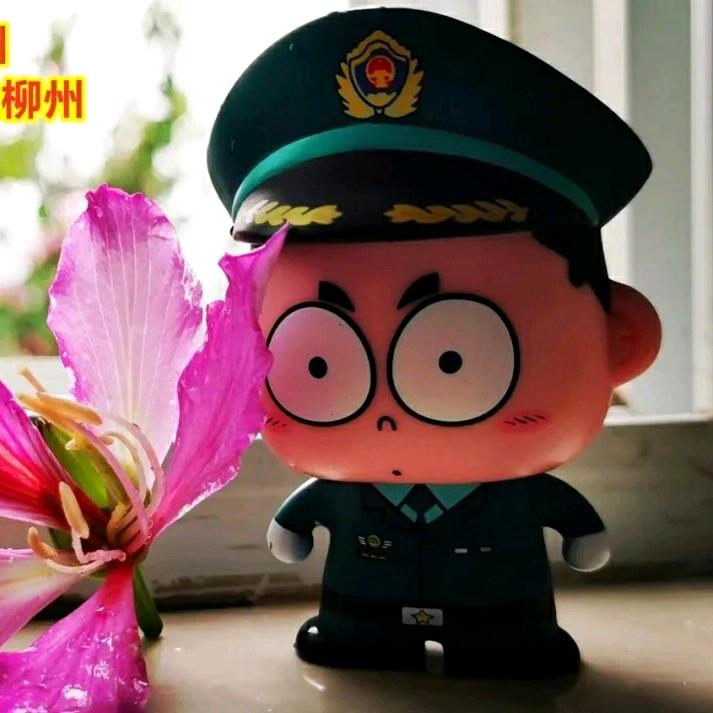 🇨🇳老兵柱哥🇨🇳