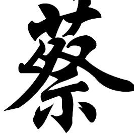 老蔡