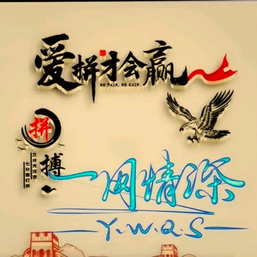一网情深