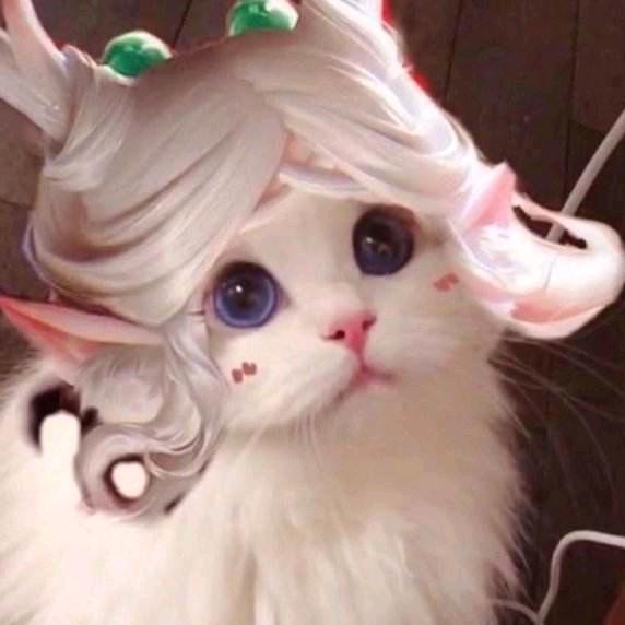 辅助祭天，法力无边！