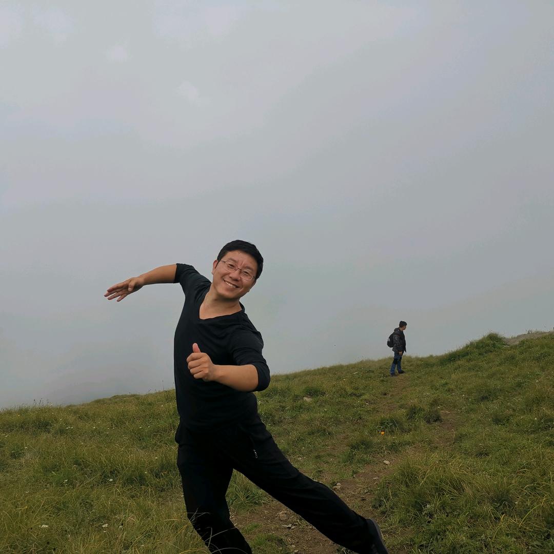 给你点赞的海豚