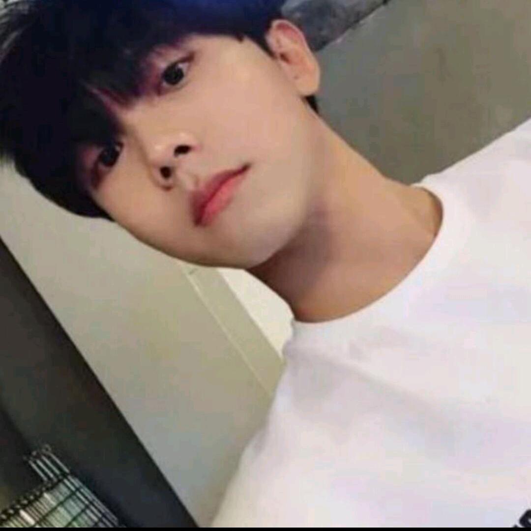 和风的股市小锦鲤