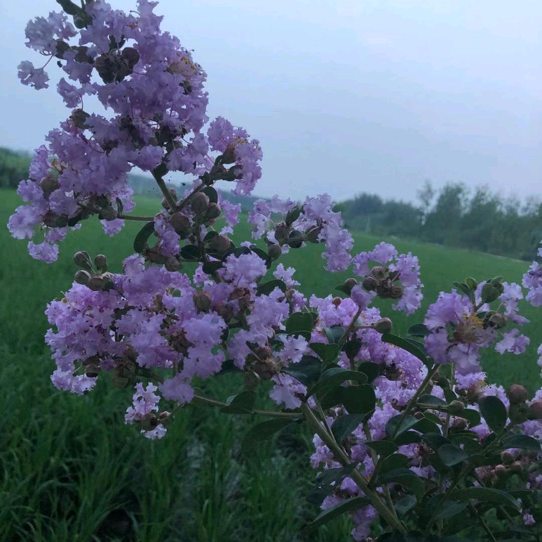 平安是福