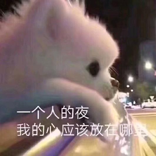 中原ℳঞ大表哥💕